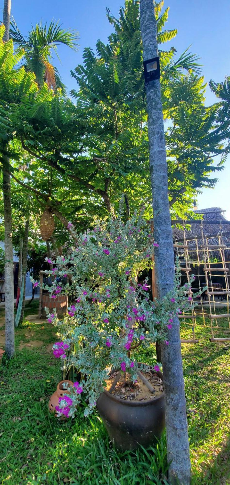 Home Farm Villa Hoi An Dış mekan fotoğraf