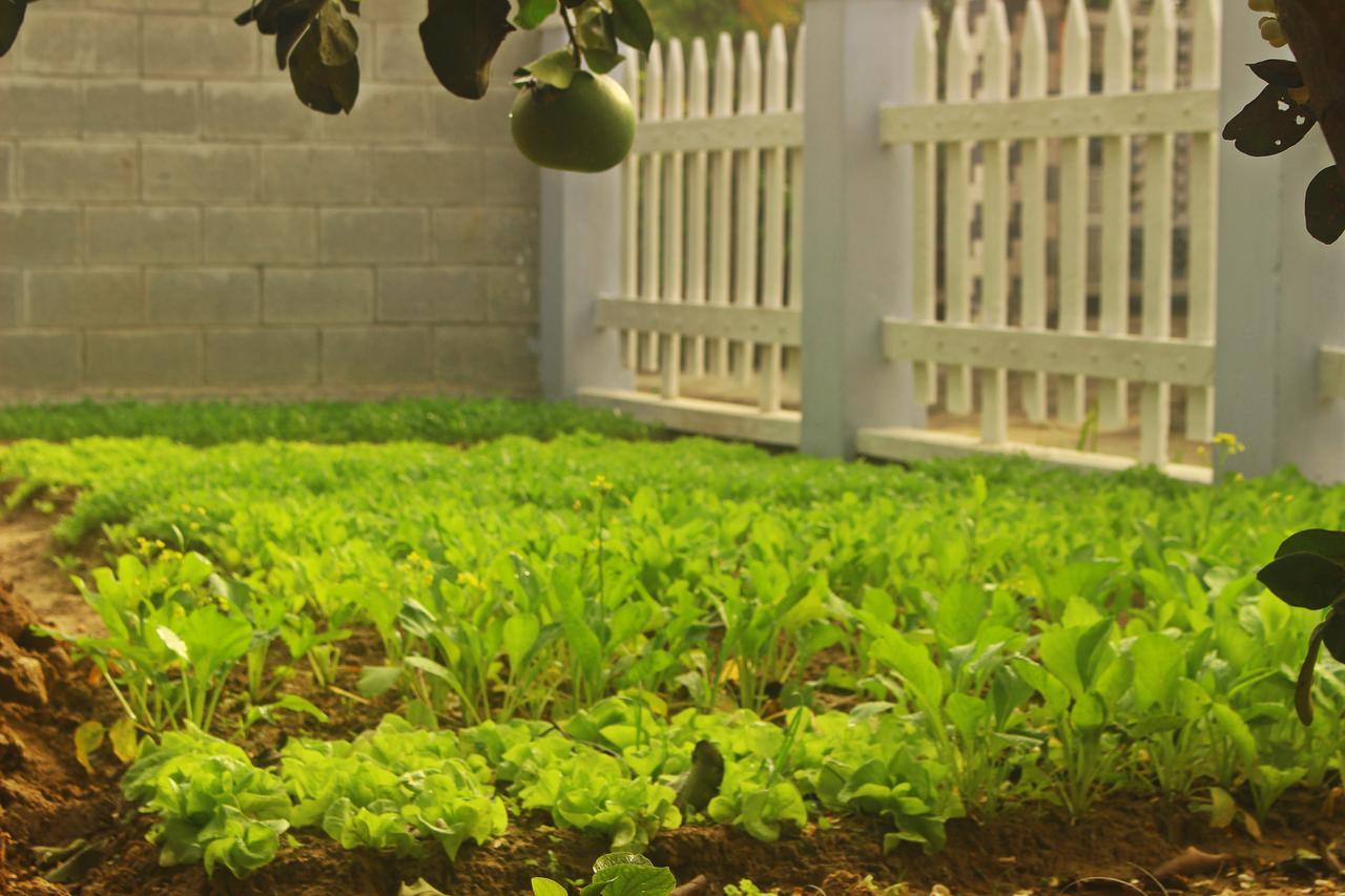 Home Farm Villa Hoi An Dış mekan fotoğraf
